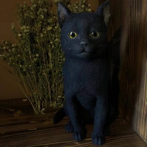 Магический Помощник Черный кот Ведьмы (с подселением)