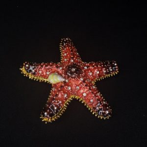 Колдовская шкатулка “Морская Звезда” (с активацией)
