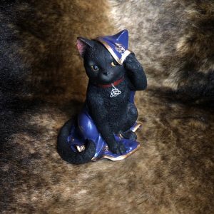 Магический помощник Черная кошка Прорицательница (с подселением)