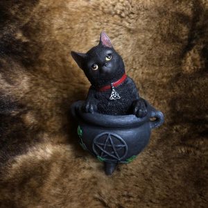 Магический помощник Черный кот с Пентаграммой (с подселением)